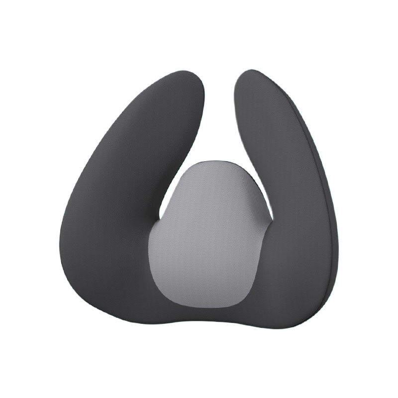 Piana pamięci W-Automotive Back